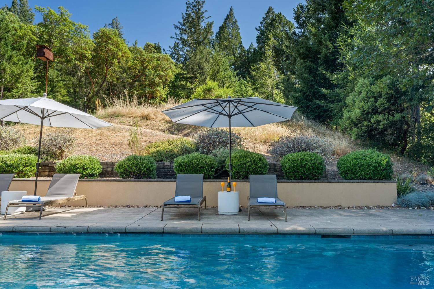 1315 West Dry Creek Road Healdsburg, CA 95448 - Photo 52 of 57 a house view with a garden space