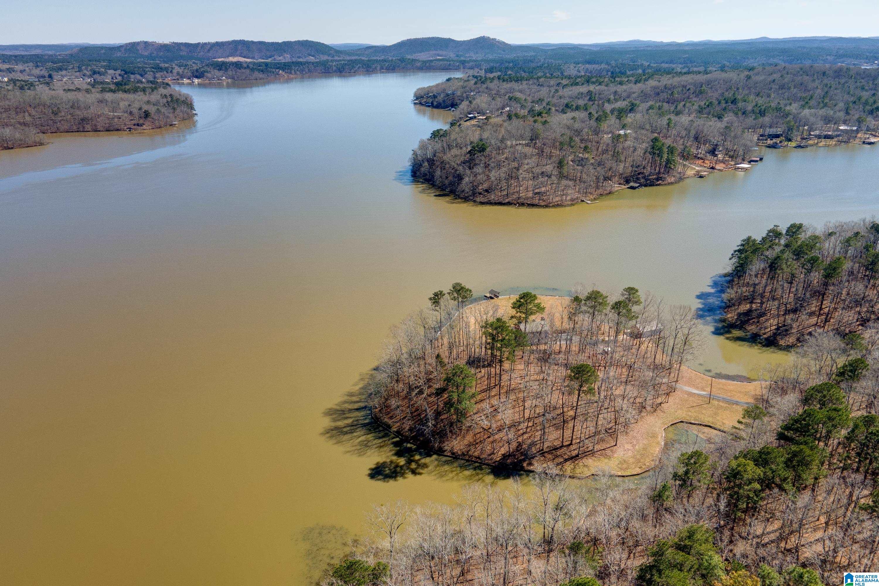 3215 South River Road Shelby, AL 35143 - Photo 47 of 50