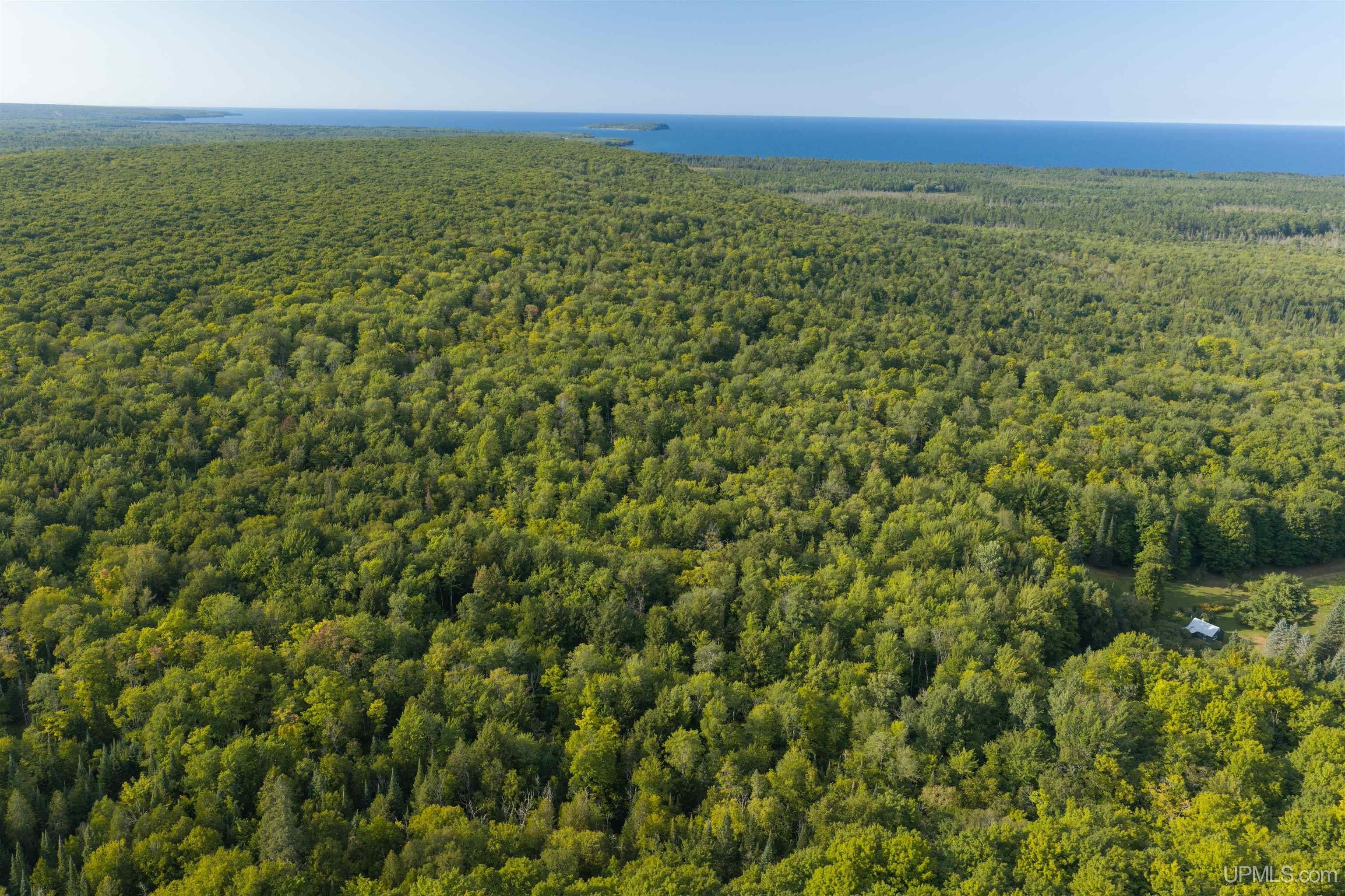 40 Acres Martin Road Au Train, MI 49806 - Photo 9 of 13 Gallery Image 9