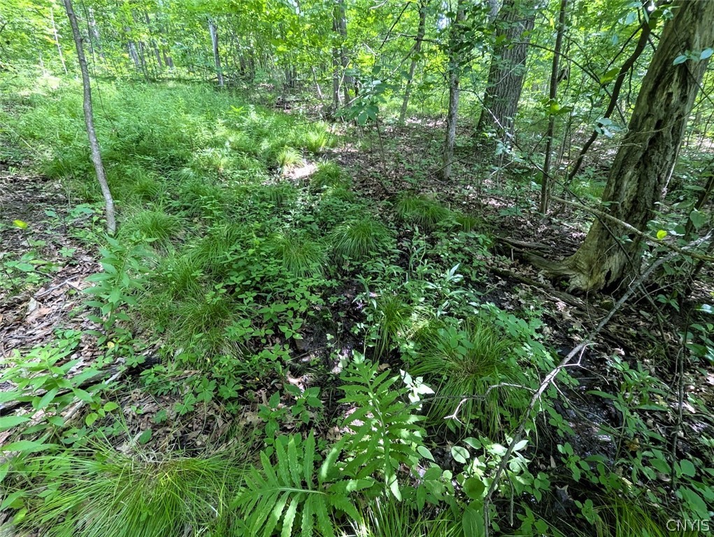 Keifer Hollow Road Dansville, NY 14437 - Photo 26 of 33