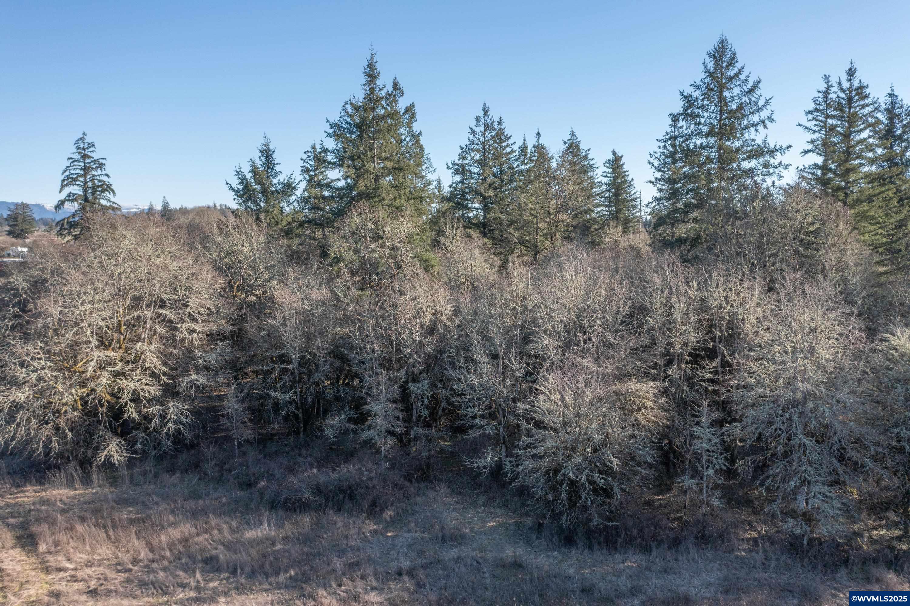35388 Richardson Gap Road Lebanon, OR 97355 - Photo 17 of 30