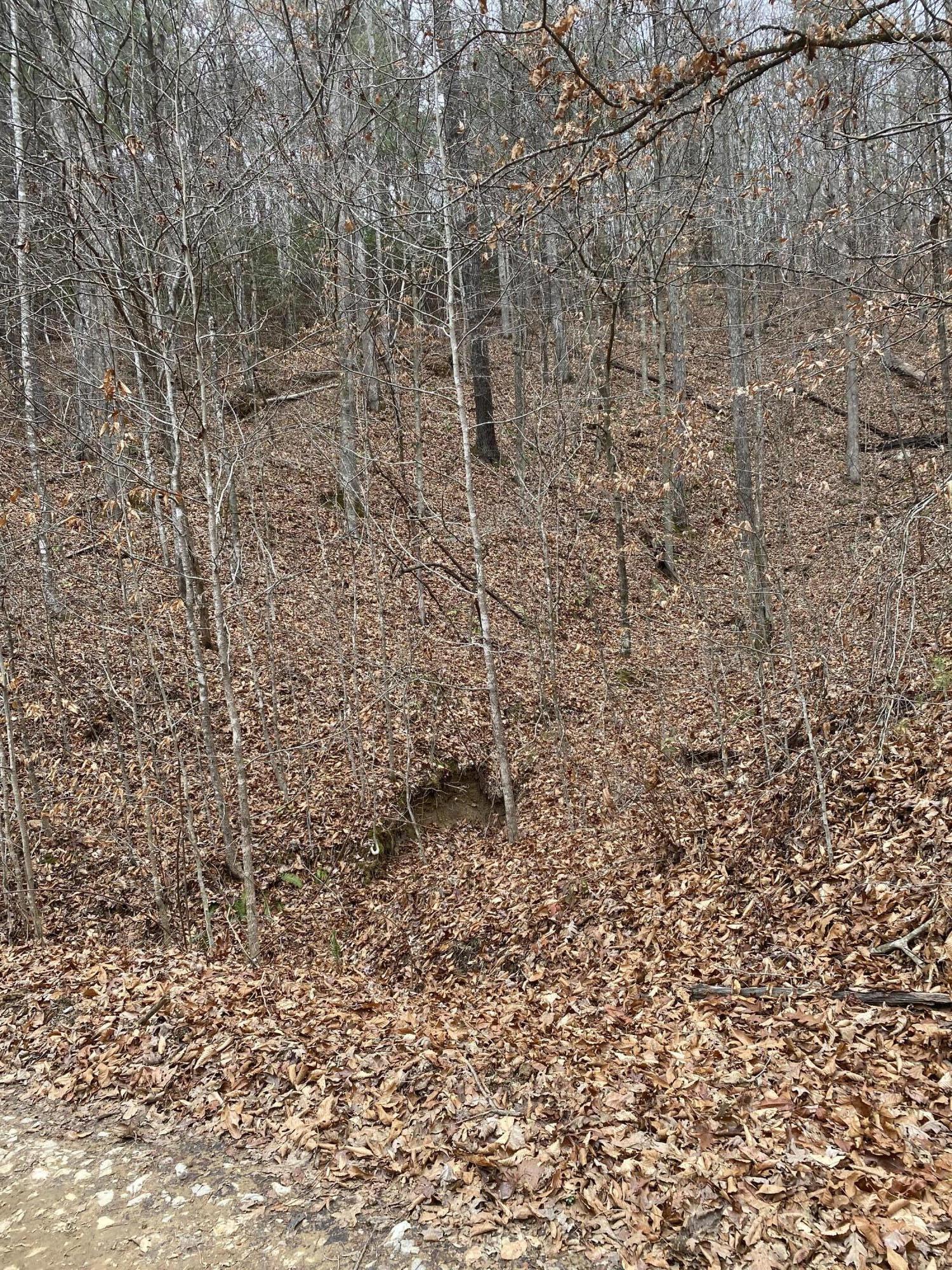 8 Stanley Street Oneida, TN 37841 - Photo 1 of 3 LOT 8 NEW 3