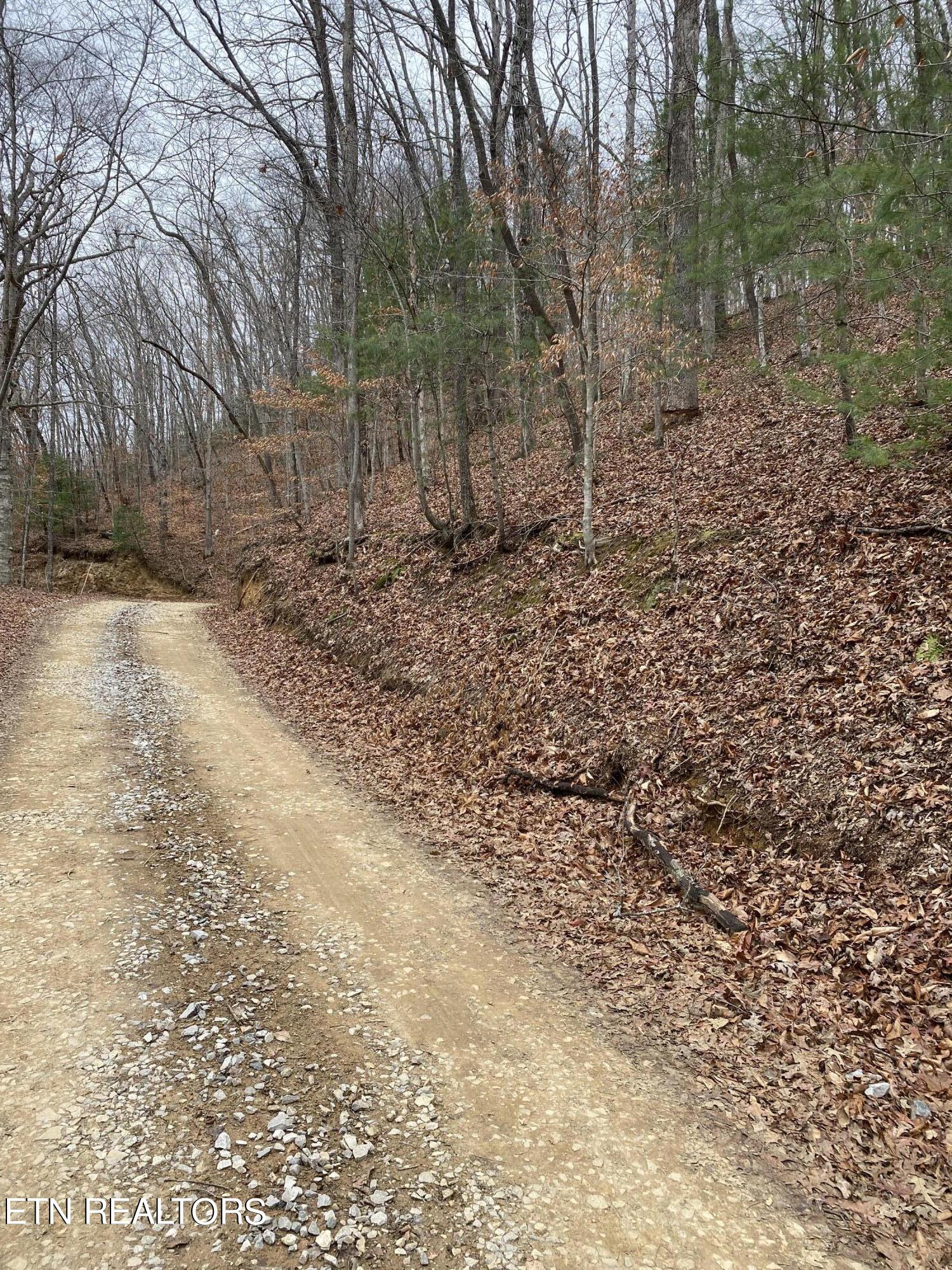 8 Stanley Street Oneida, TN 37841 - Photo 3 of 3 LOT 8 NEW 1