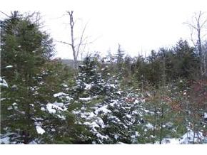 25 B Weed Road Meredith, NH 03253 - Photo 4 of 5