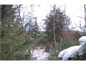 25 B Weed Road Meredith, NH 03253 - Photo 5 of 5
