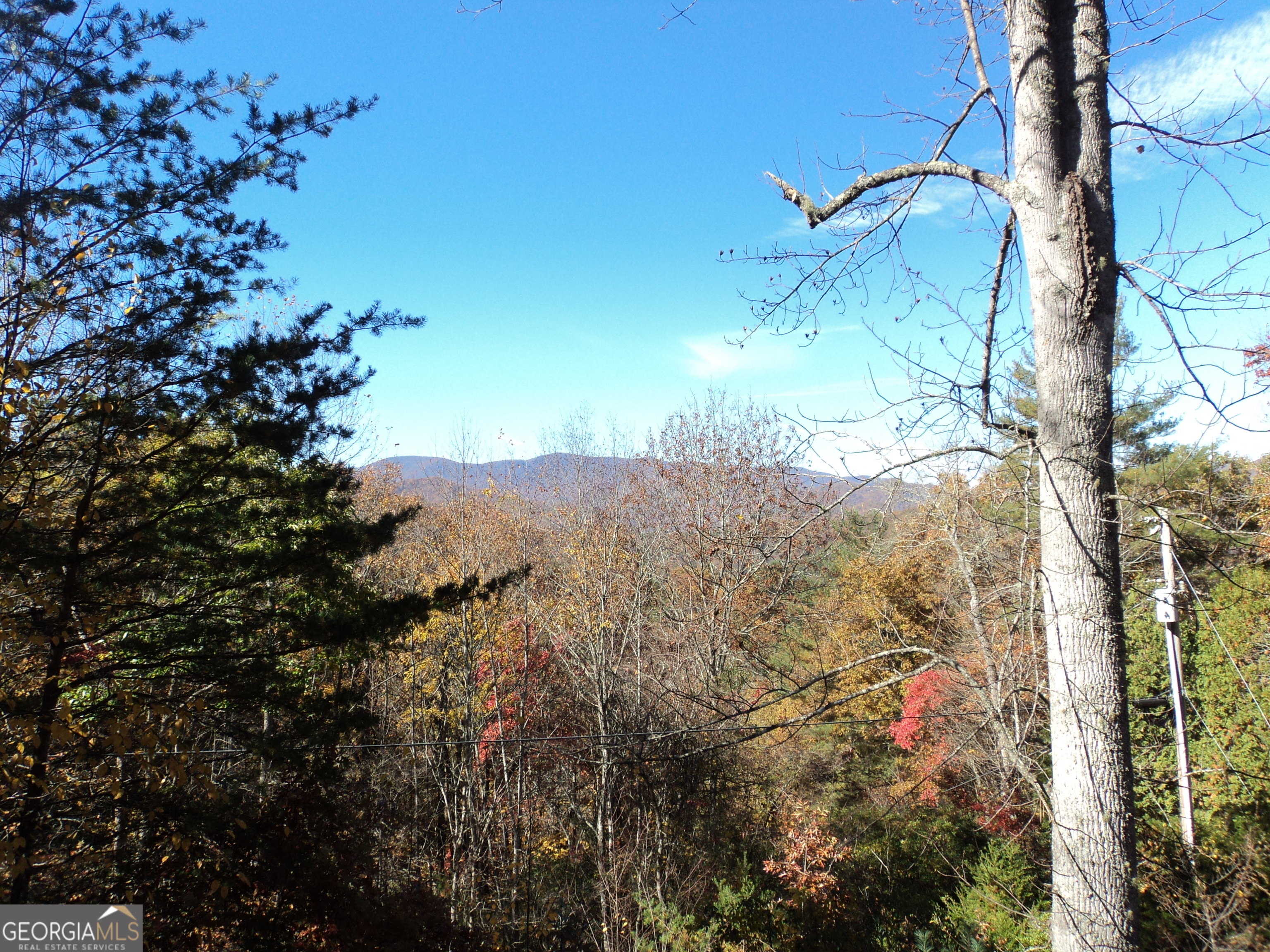 488 Otto Heights Road Franklin, NC 28734 - Photo 2 of 25