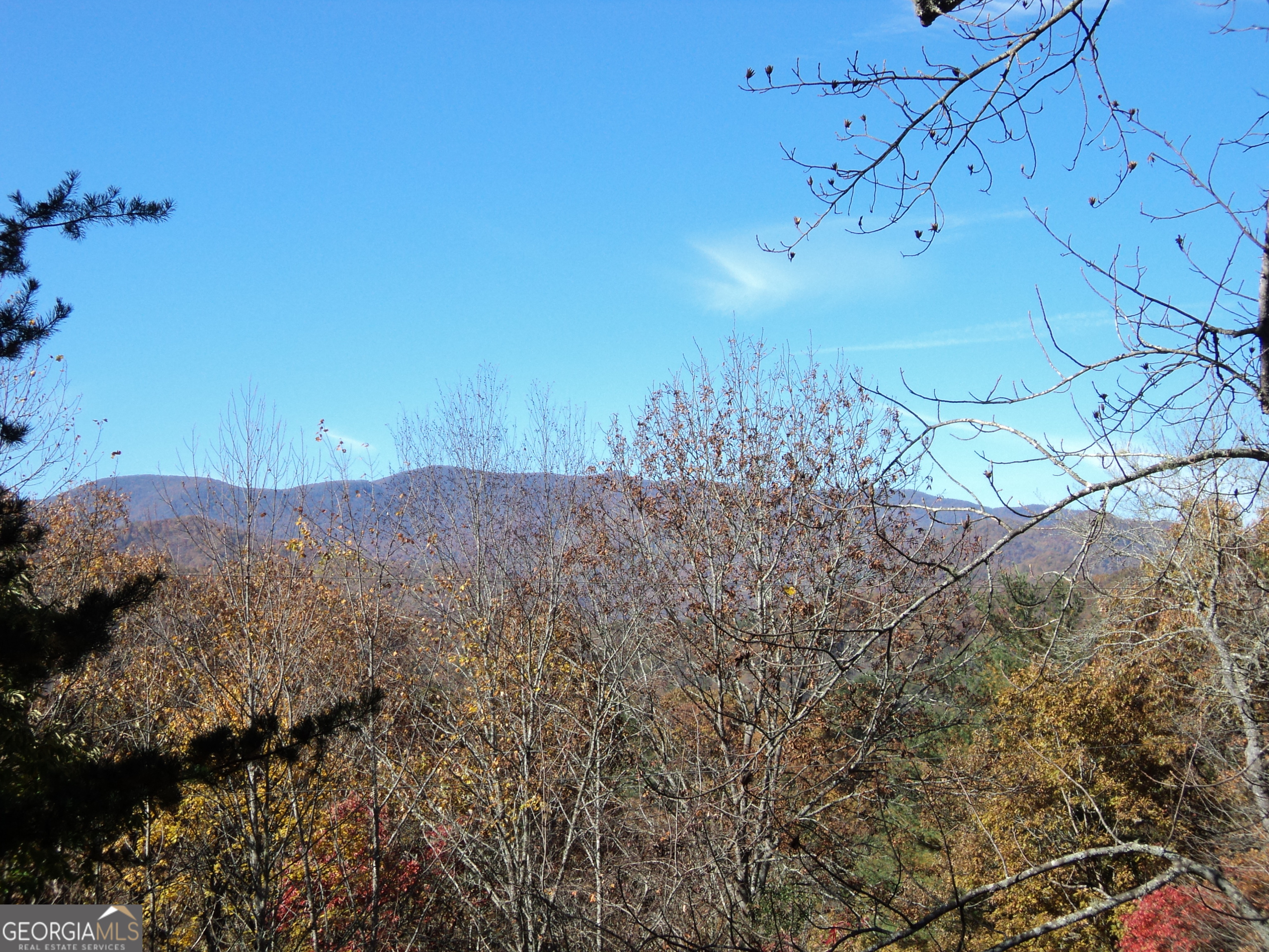 488 Otto Heights Road Franklin, NC 28734 - Photo 3 of 25