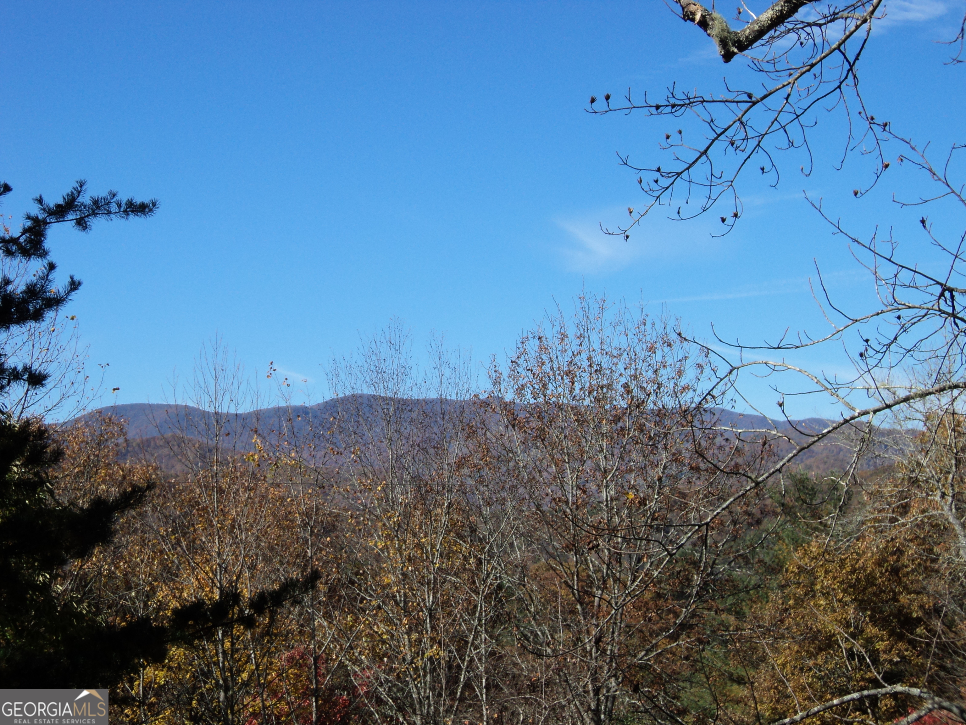 488 Otto Heights Road Franklin, NC 28734 - Photo 4 of 25