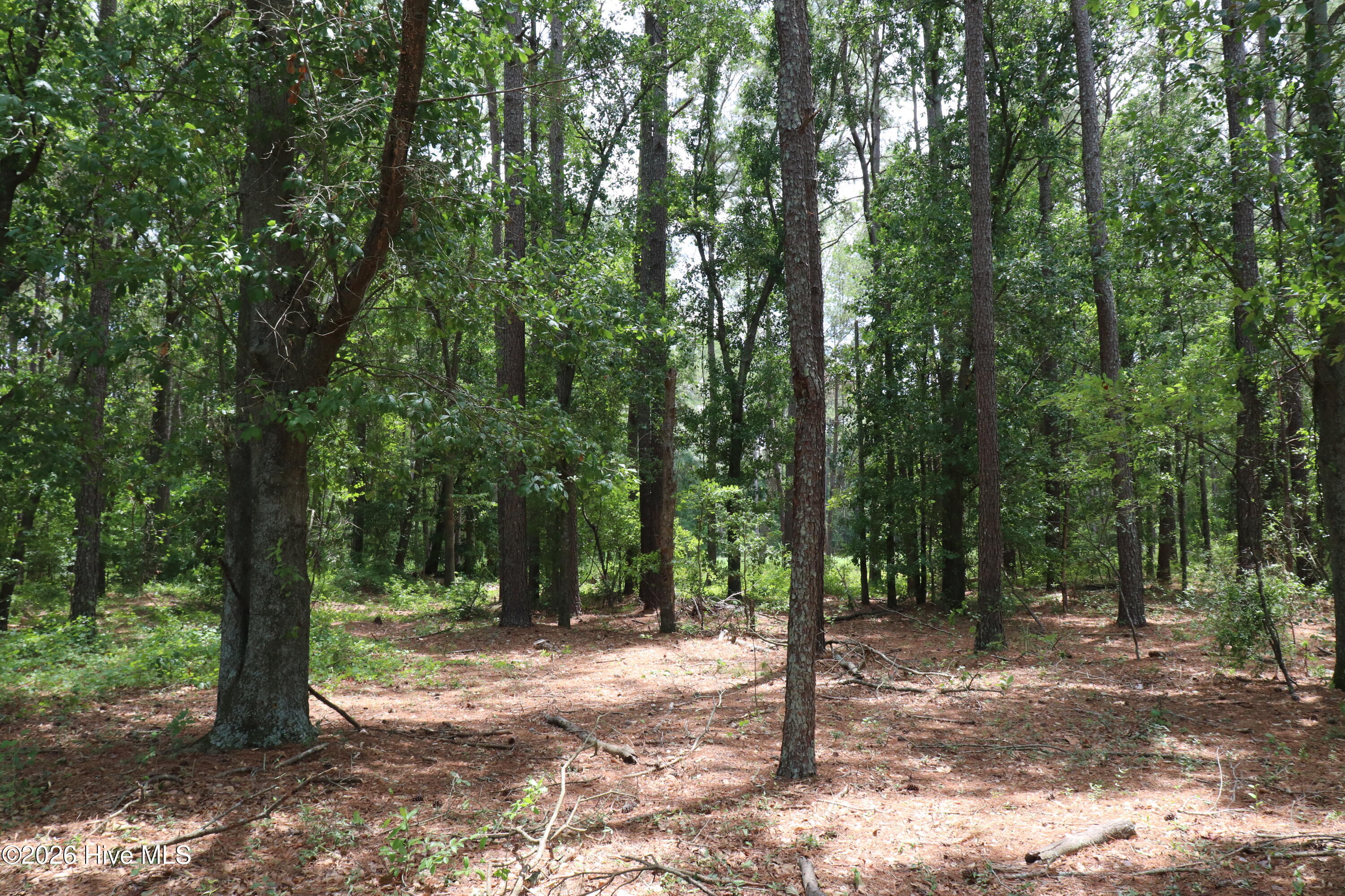 Tbd Hayne Stretch Road Roseboro, NC 28382 - Photo 13 of 31
