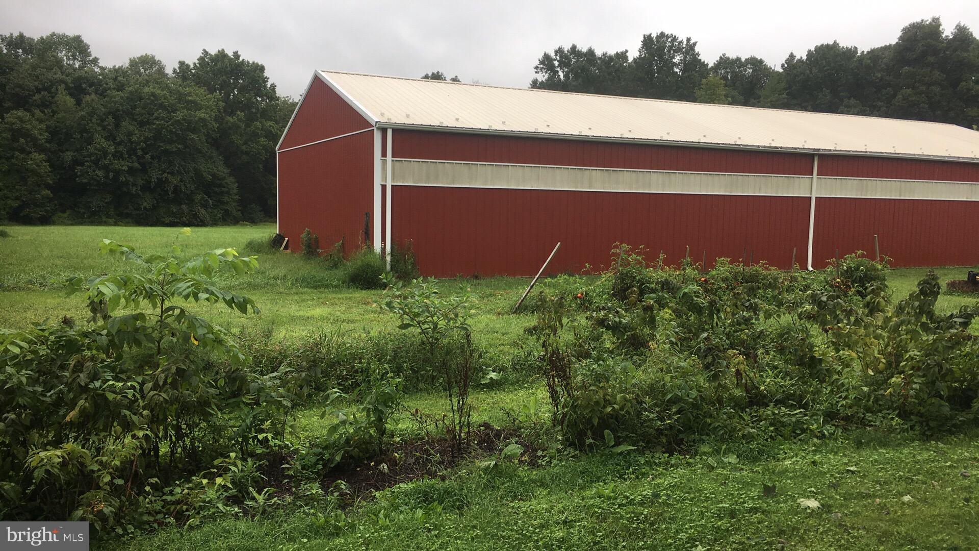 217 Little New York Road Rising Sun, MD 21911 - Photo 15 of 65 Crops and Pole Barn