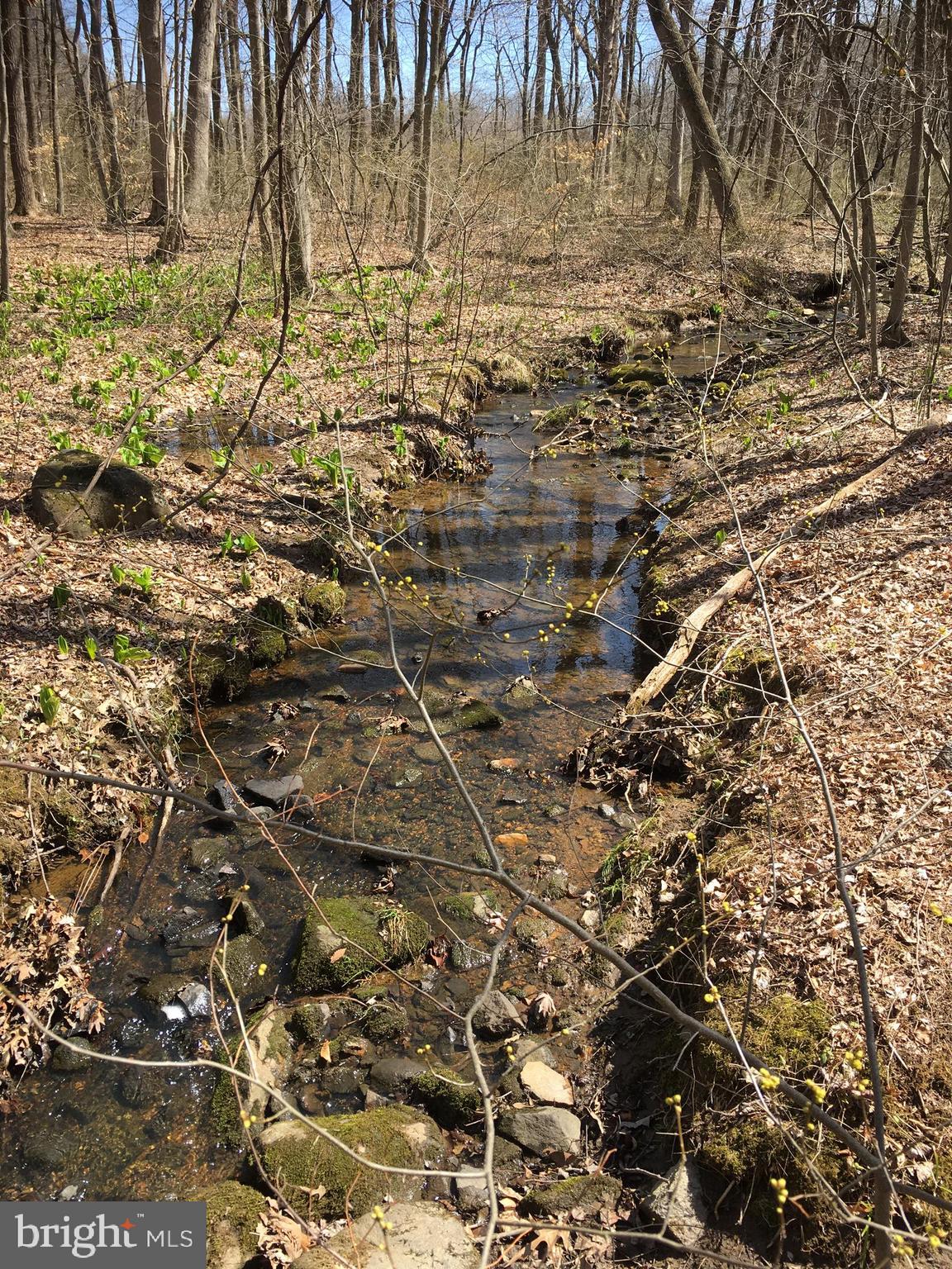 217 Little New York Road Rising Sun, MD 21911 - Photo 16 of 65 Stone Run Creek