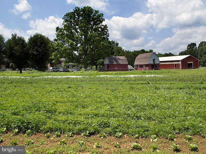 217 Little New York Road Rising Sun, MD 21911 - Photo 28 of 65 Fields for growing crops
