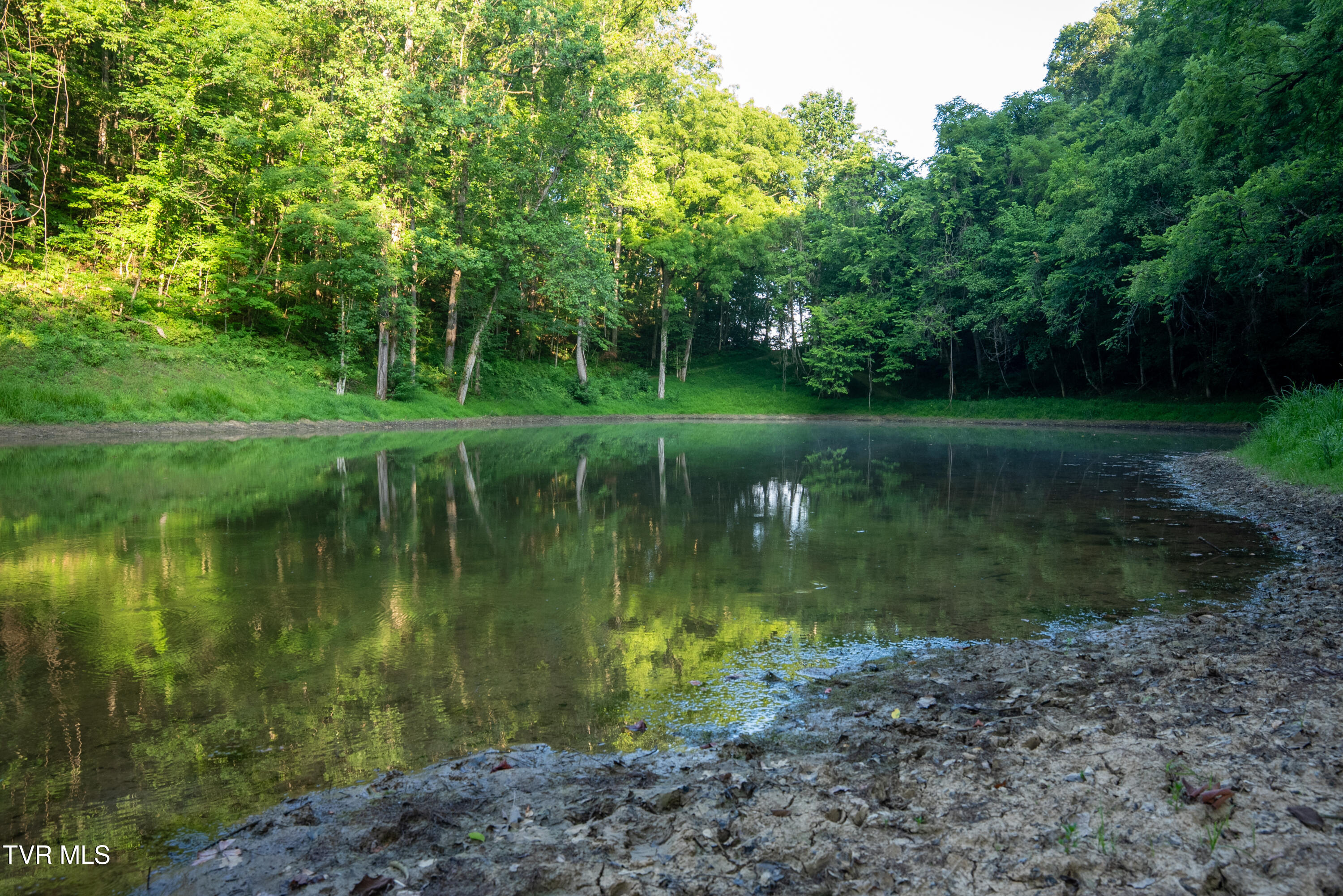 502-ac Gregory Road Sneedville, TN 37869 - Photo 88 of 93 _Pic90 (5)