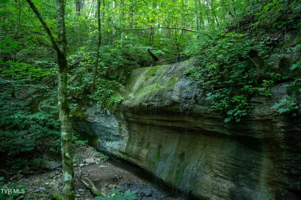 $3,999,999 | 502-ac Gregory Road, Sneedville, TN 37869