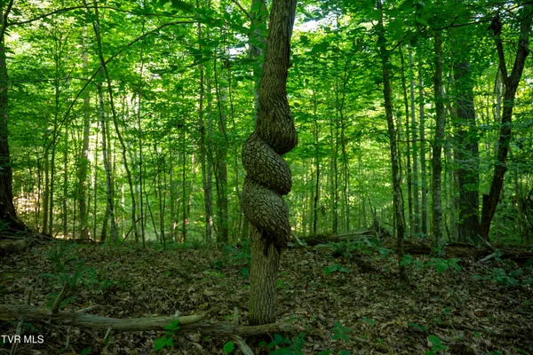 $3,999,999 | 502-ac Gregory Road, Sneedville, TN 37869