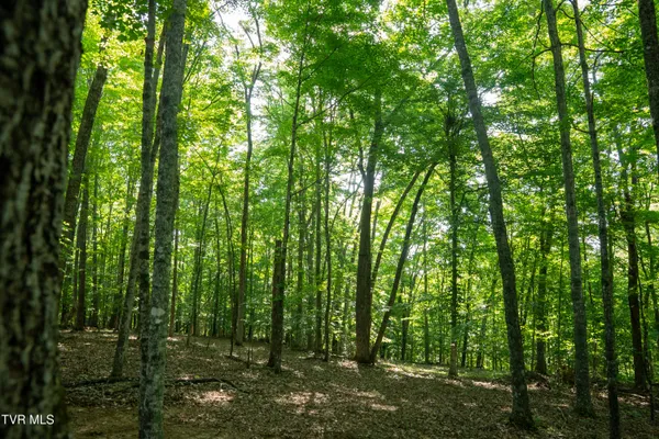 $3,999,999 | 502-ac Gregory Road, Sneedville, TN 37869