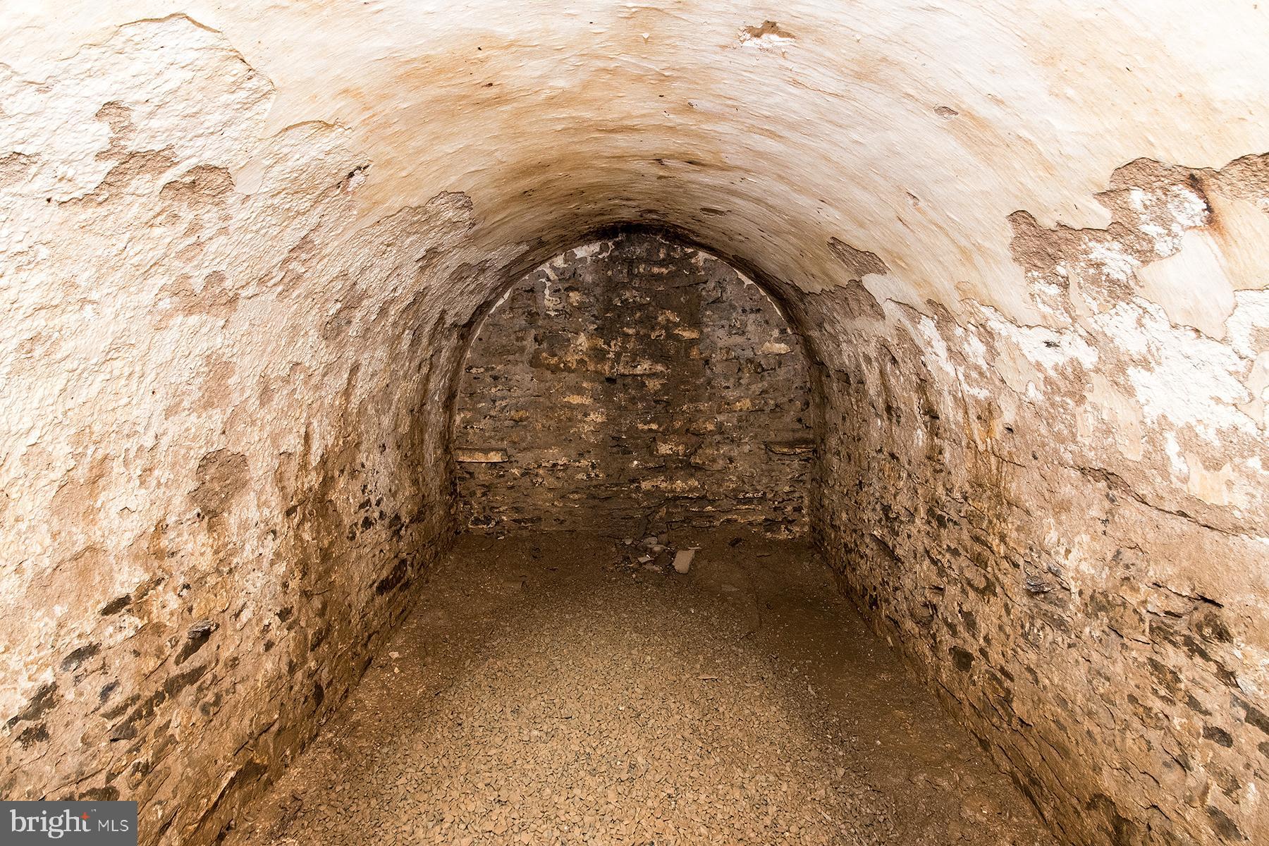 122 Walker Road Washington Crossing, PA 18977 - Photo 57 of 59 Root Cellar
