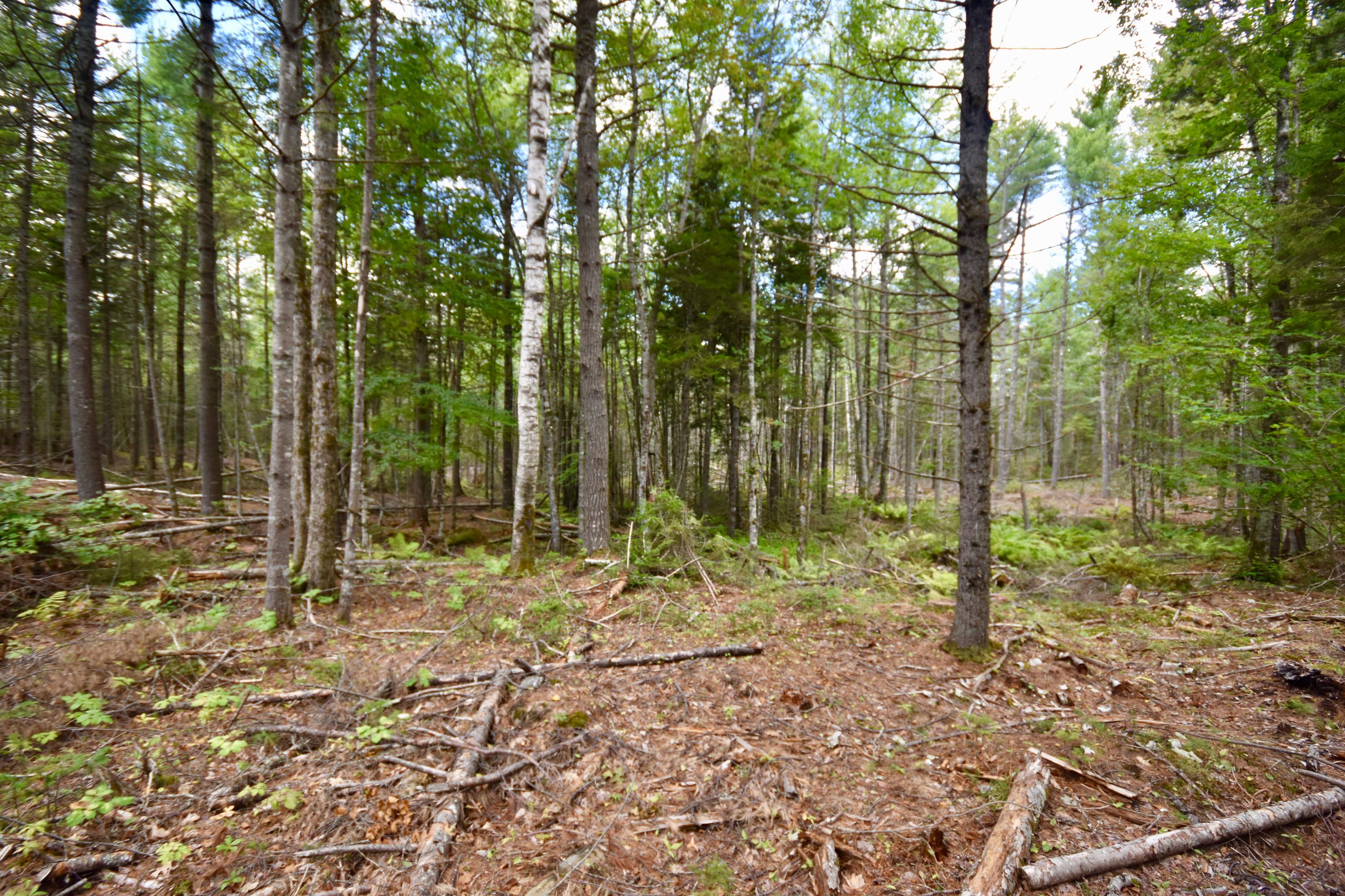 0 West Appleton Road Appleton, ME 04862 - Photo 9 of 13 DSC_0635