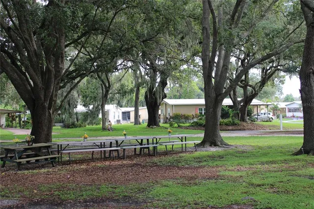 a view of a park with large trees