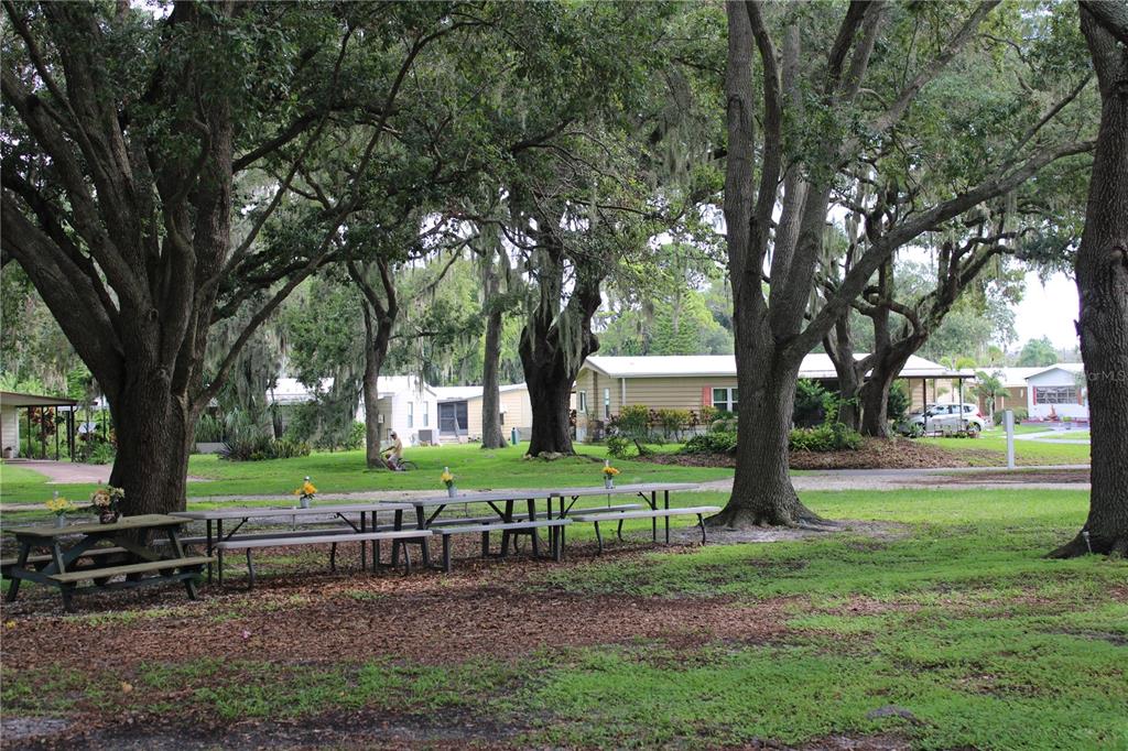 8314 Nancy Lane Ellenton, FL 34222 - Photo 31 of 34 a view of a park with large trees