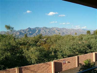 1339 East Fort Lowell Road, Unit H Tucson, AZ 85719 - Photo 2 of 10 Gallery Image 2