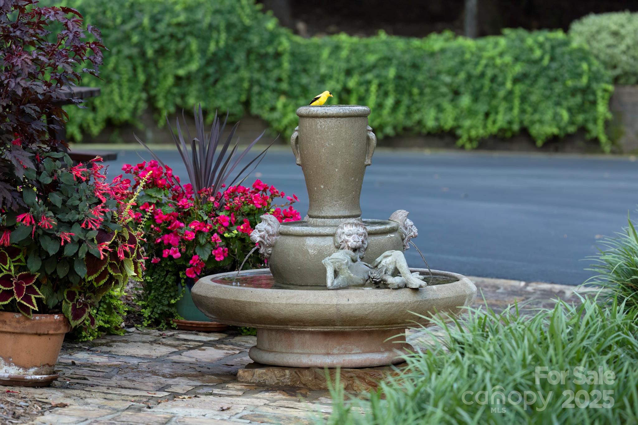 41362 Mountain View Church Road Albemarle, NC 28001 - Photo 12 of 48 Gallery Image 12