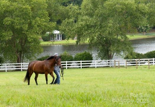 41362 Mountain View Church Road Albemarle, NC 28001 - Photo 2 of 48 Gallery Image 2