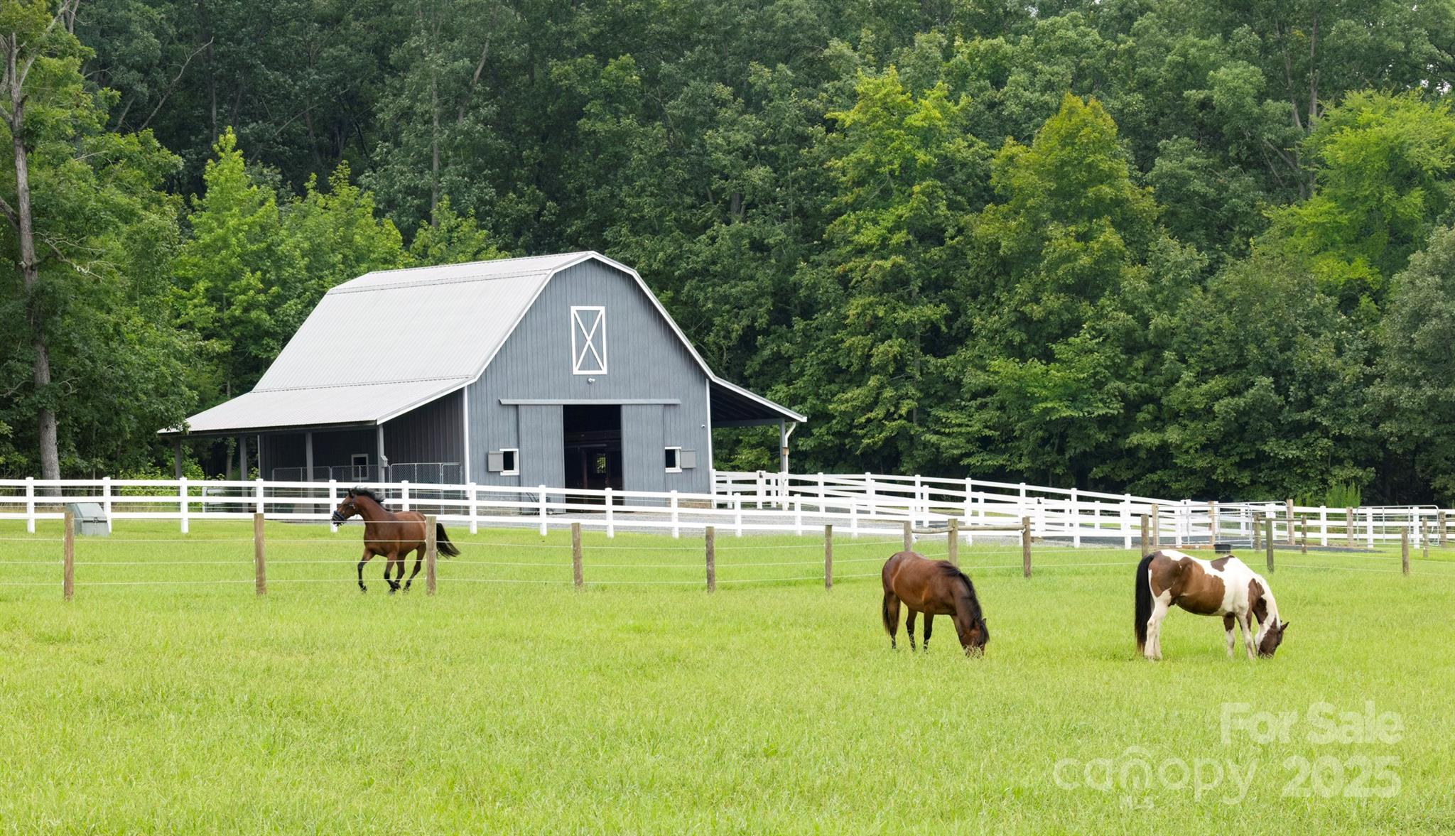 41362 Mountain View Church Road Albemarle, NC 28001 - Photo 30 of 48 Gallery Image 30