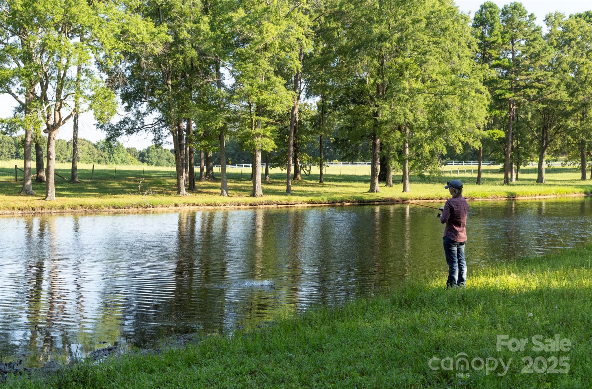 41362 Mountain View Church Road Albemarle, NC 28001 - Photo 40 of 48 Gallery Image 40