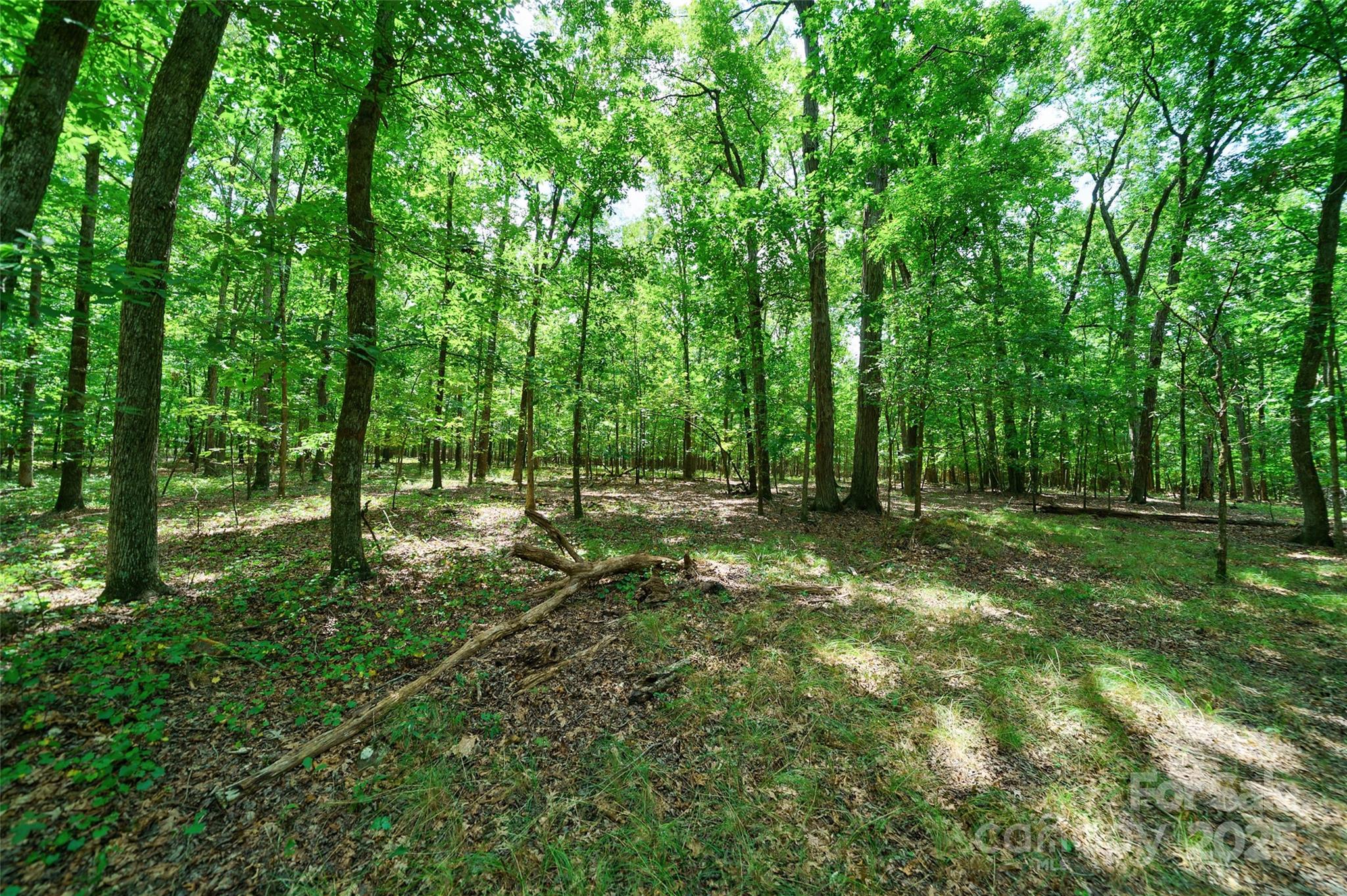 41362 Mountain View Church Road Albemarle, NC 28001 - Photo 41 of 48 Gallery Image 41