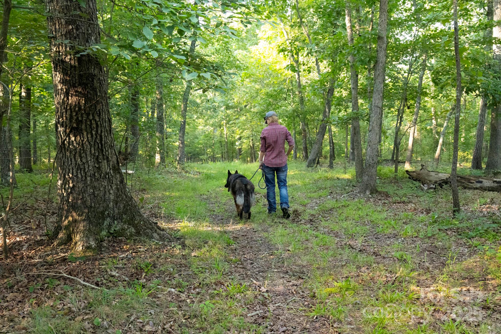 41362 Mountain View Church Road Albemarle, NC 28001 - Photo 42 of 48 Gallery Image 42