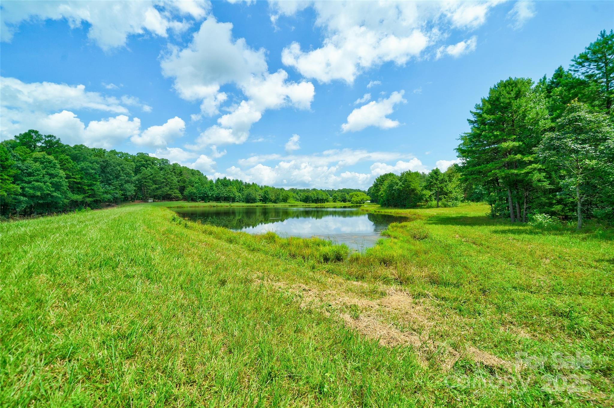 41362 Mountain View Church Road Albemarle, NC 28001 - Photo 43 of 48 Gallery Image 43
