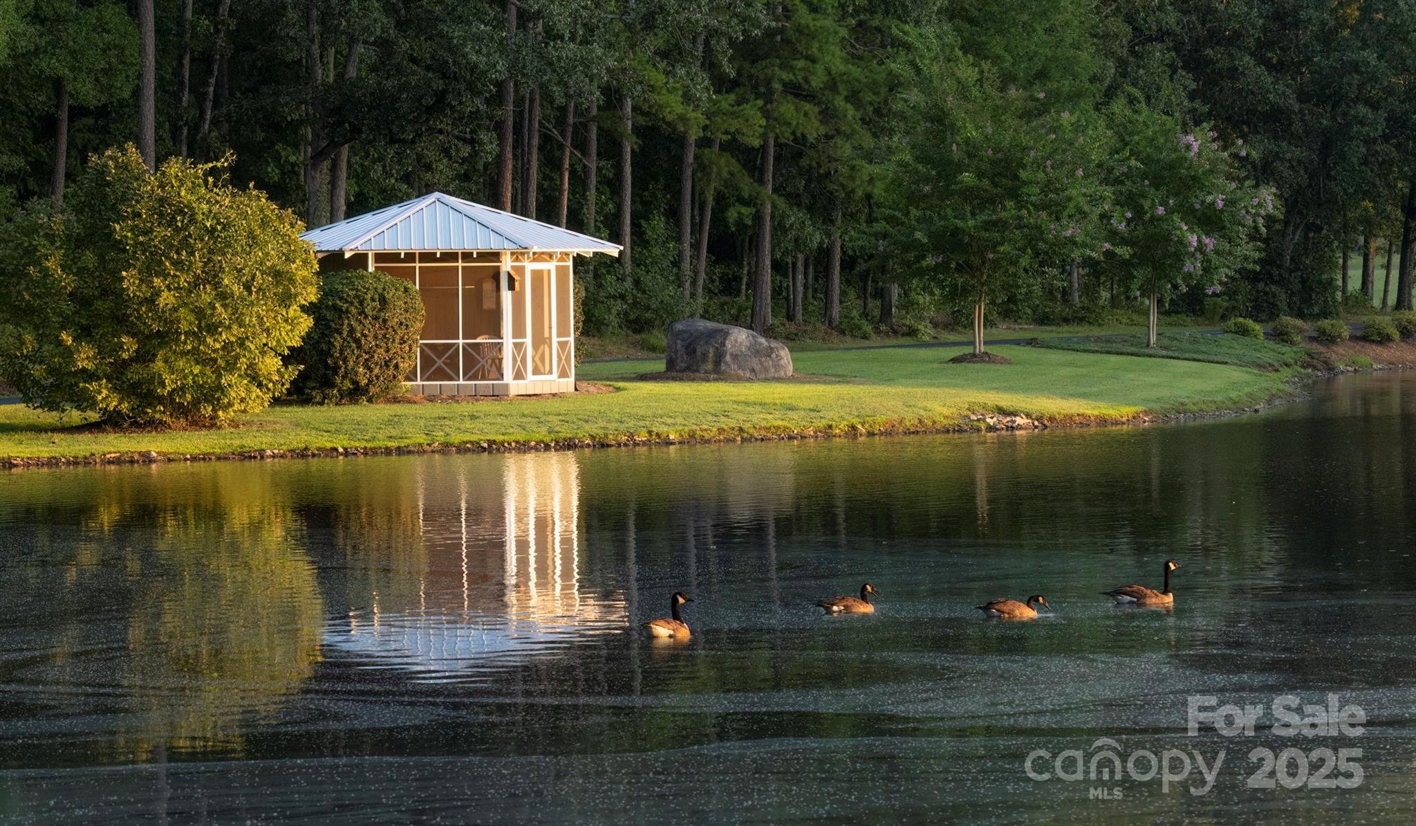 41362 Mountain View Church Road Albemarle, NC 28001 - Photo 6 of 48 Gallery Image 6