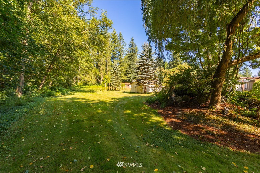 8949 Delta Line Road Custer, WA 98240 - Photo 23 of 39 a view of yard with green space and trees all around