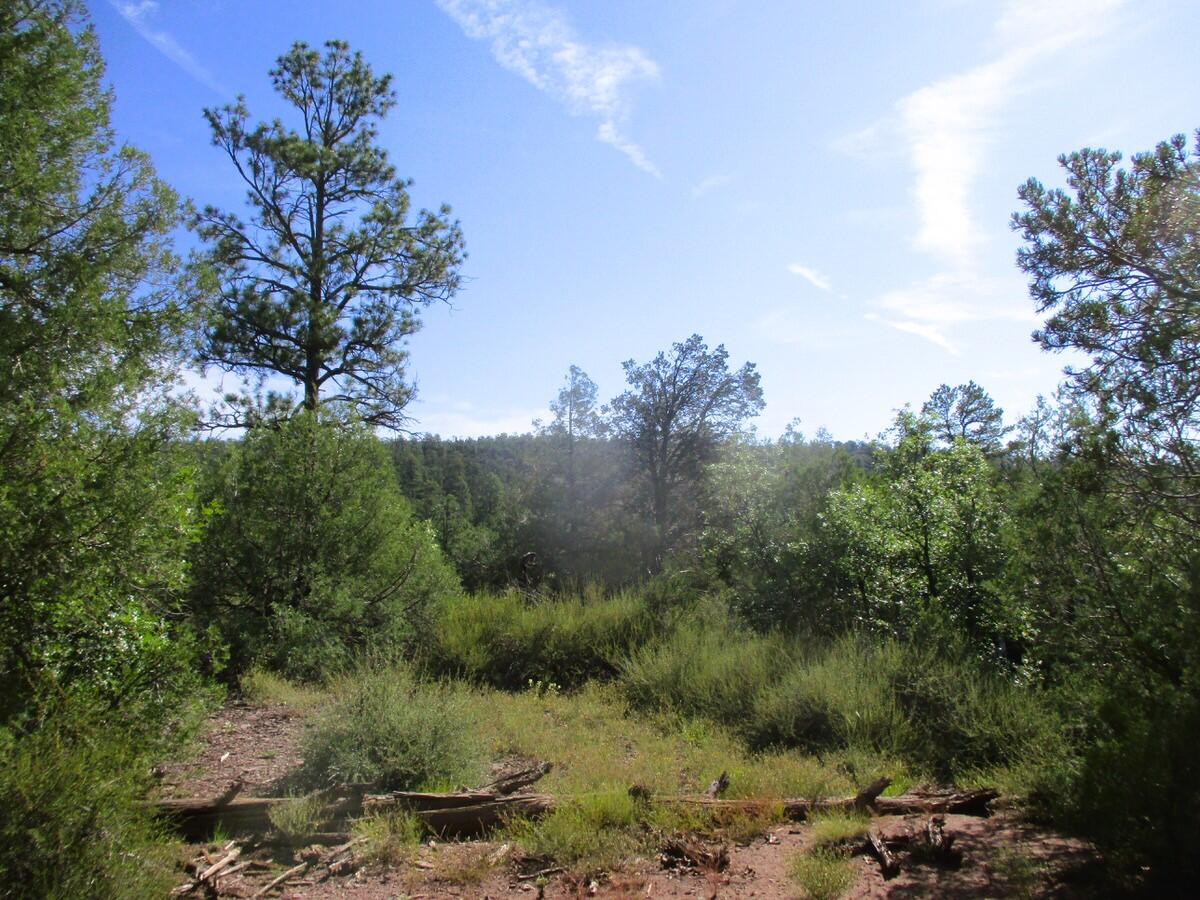 5-6 Black Bear Road Ramah, NM 87321 - Photo 46 of 64 Gallery Image 46