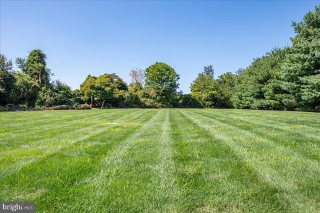 a view of a grassy field with trees in the background