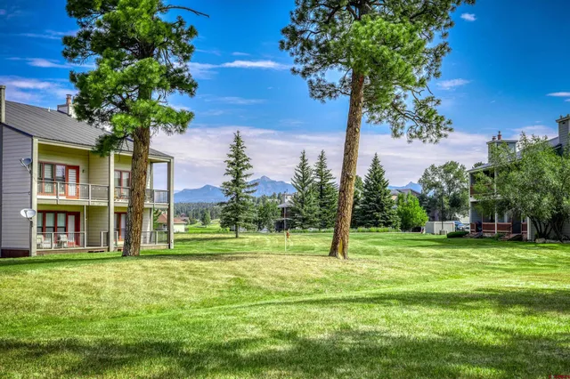 a garden with trees in front of it