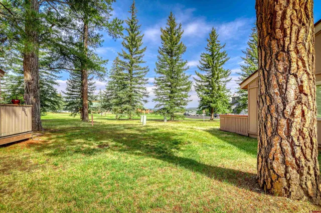 a view of a trees with a yard