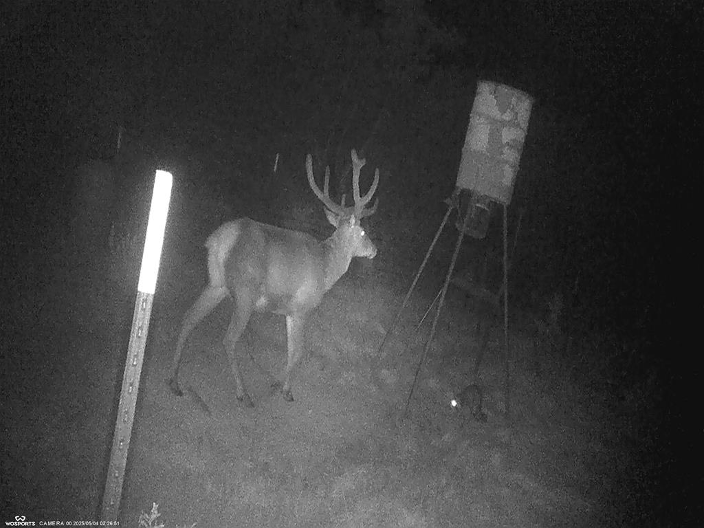 204 Wilson Ranch Road Hunt, TX 78024 - Photo 26 of 61