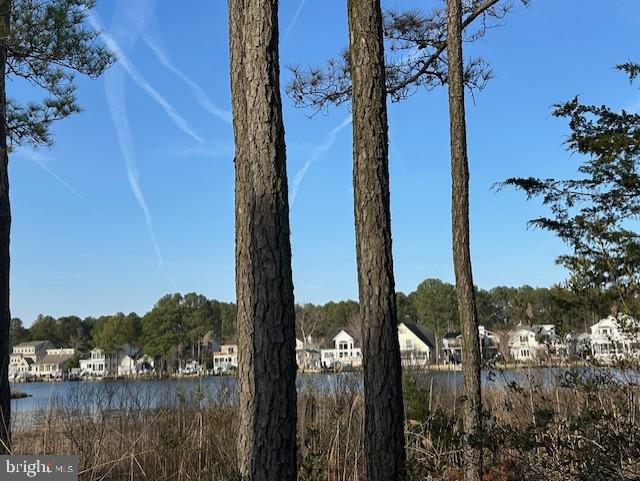 38 Saltgrass Road Ocean Pines, MD 21811 - Photo 2 of 23 View of Manklin Creek over the wetlands