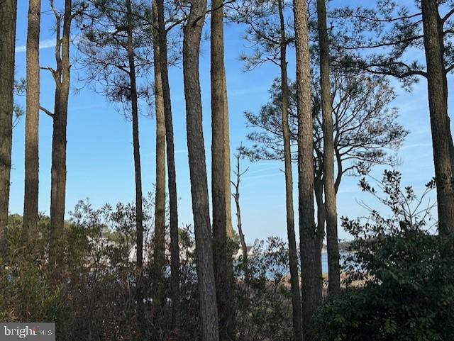 38 Saltgrass Road Ocean Pines, MD 21811 - Photo 9 of 23 Enjoy the breezes