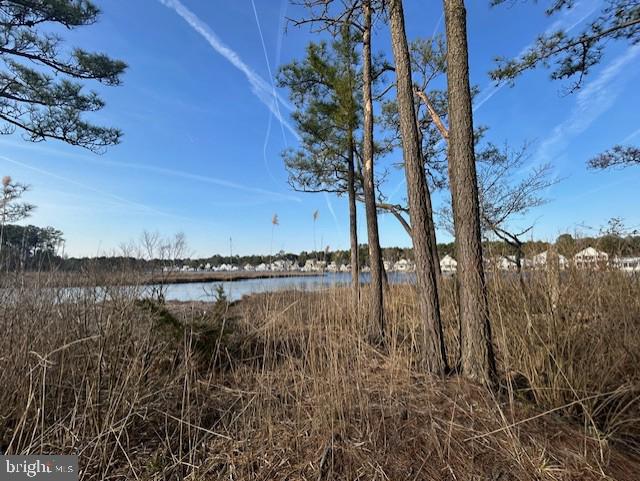 38 Saltgrass Road Ocean Pines, MD 21811 - Photo 10 of 23 View to the Bay