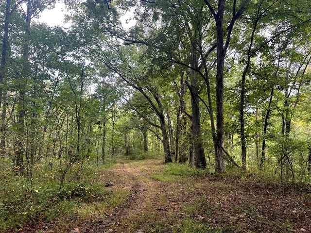 932 Hermitage Ridge, Hermitage, TN 37076