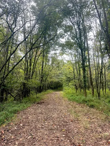 932 Hermitage Ridge, Hermitage, TN 37076