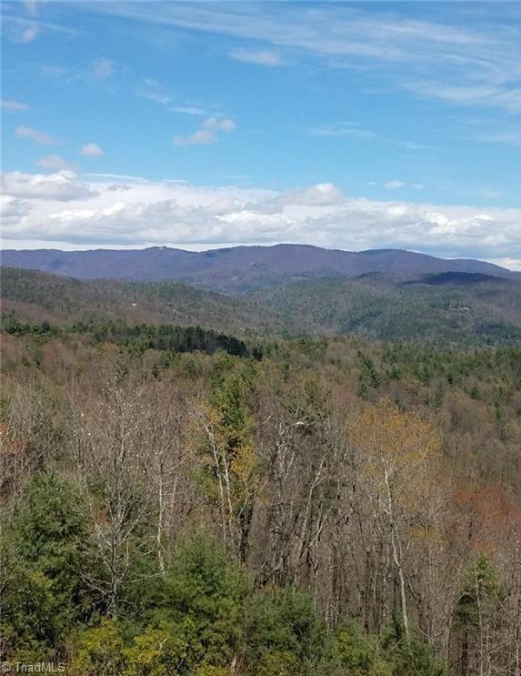 157 Buck Mountain Road Purlear, NC 28665 - Photo 1 of 7