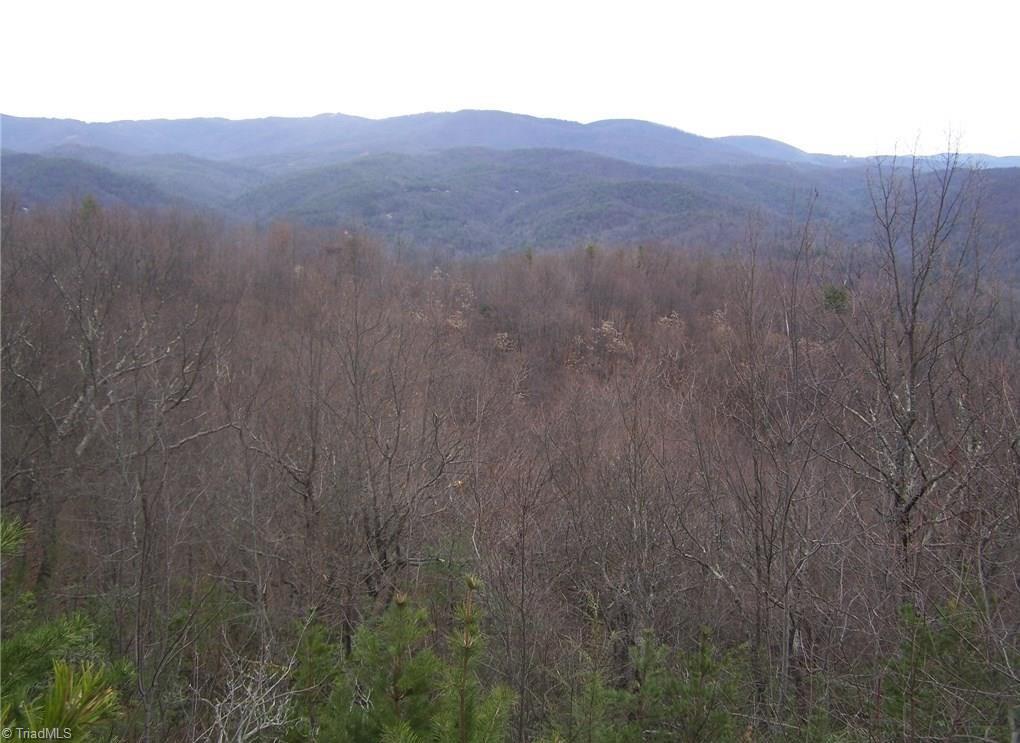 157 Buck Mountain Road Purlear, NC 28665 - Photo 2 of 7