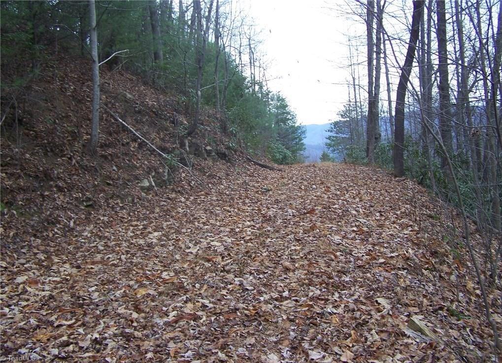 157 Buck Mountain Road Purlear, NC 28665 - Photo 3 of 7