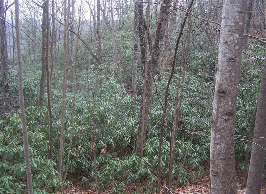 157 Buck Mountain Road Purlear, NC 28665 - Photo 4 of 7