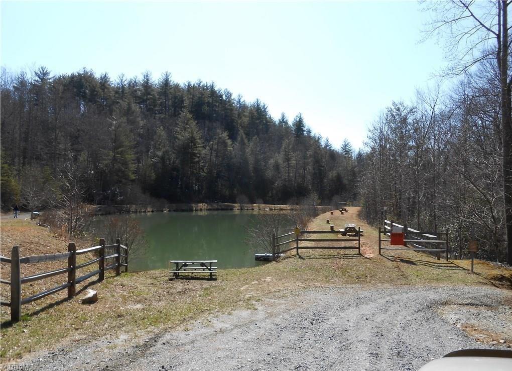 157 Buck Mountain Road Purlear, NC 28665 - Photo 6 of 7