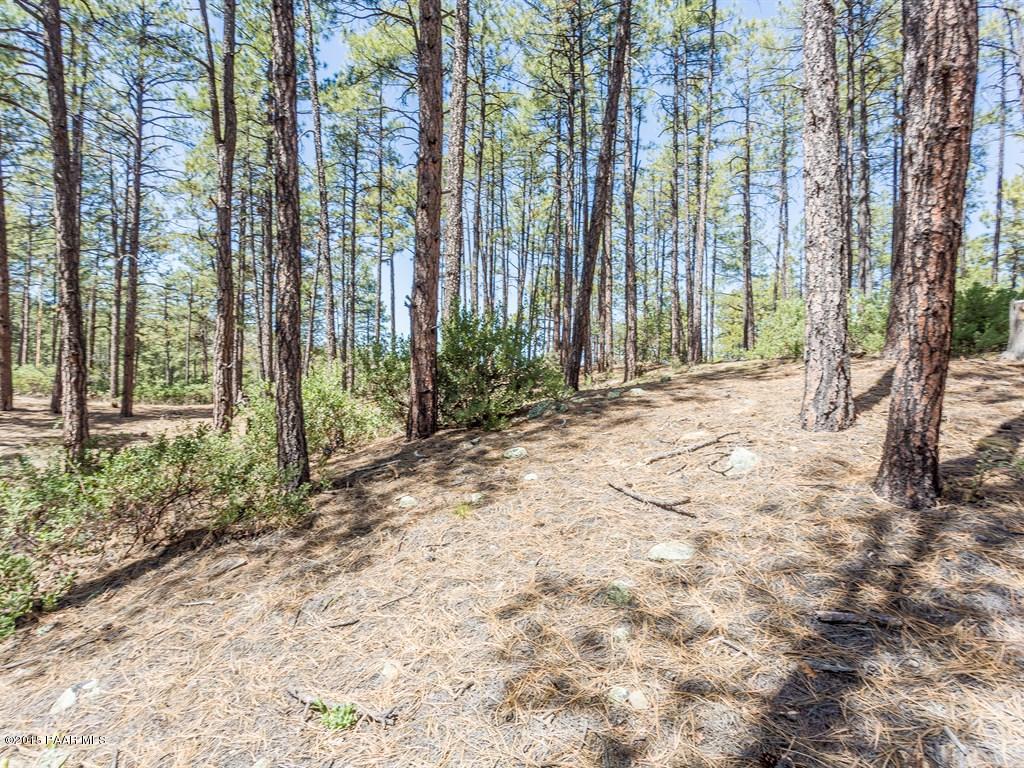1530 High Valley Ranch Road Prescott, AZ 86303 - Photo 14 of 15 014_Property